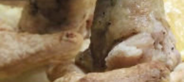 Макароны с грудинкой