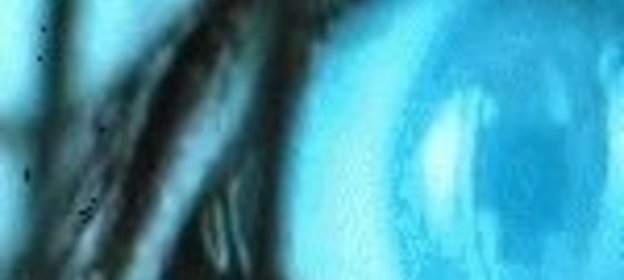 Салат «Южный»