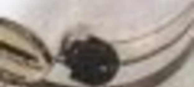 Хрустящее печенье с миндалем и корицей