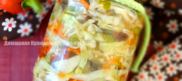 Капустный салат с баклажанами на зиму