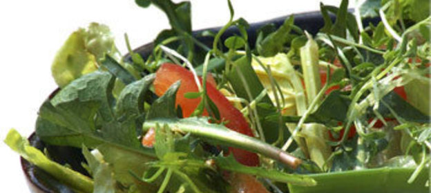 Салат из одуванчиков