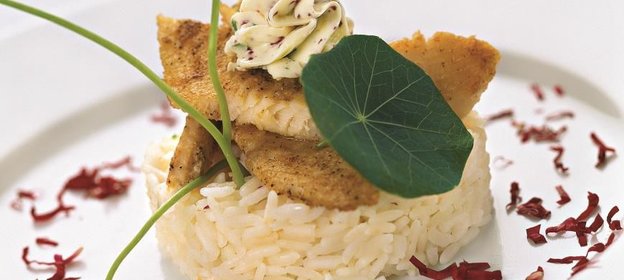 Палтус с маслом из настурции