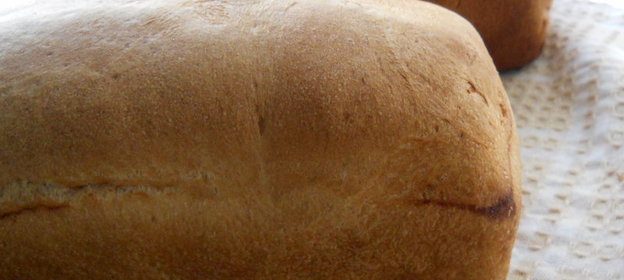 саратовский хлеб