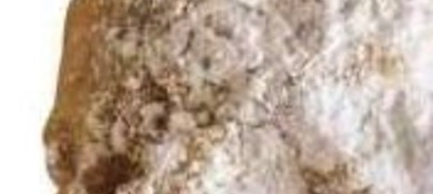 Брусничный соус