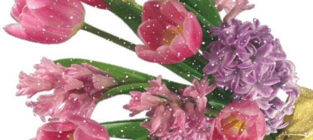 Картофельная запеканка