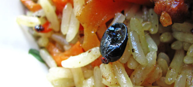 Запеканка с яблоками и творогом