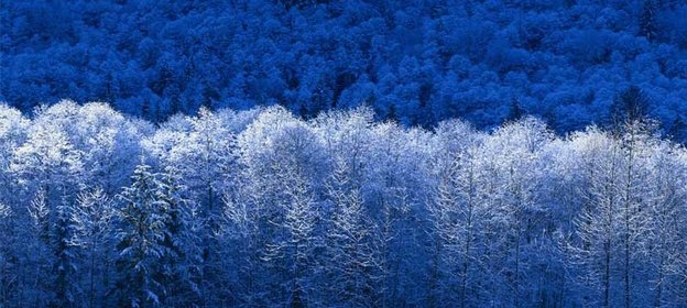 Конфеты Трюфели