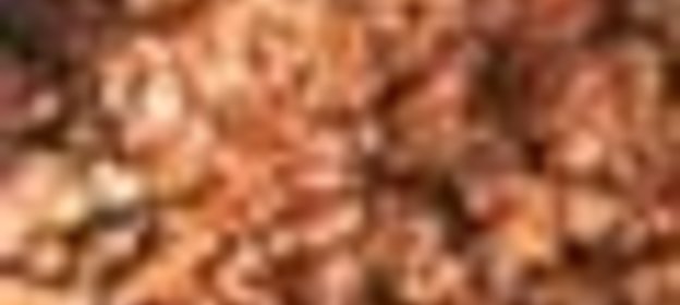 Соус «Болоньез»