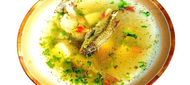Уха из свежей речной рыбы