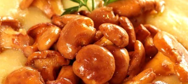 Полента с лисичками