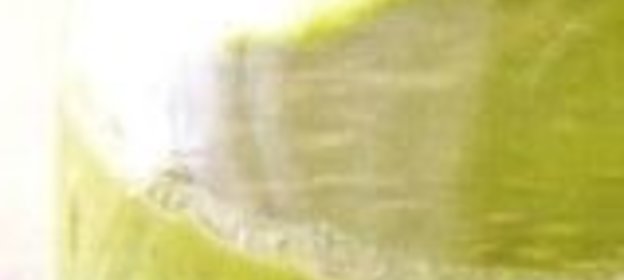 Бодрящий смузи из ананаса, киви, банана и шпината