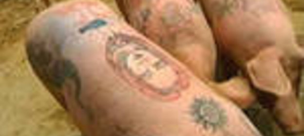 гречневый хлеб с грецкими орехами для ХП