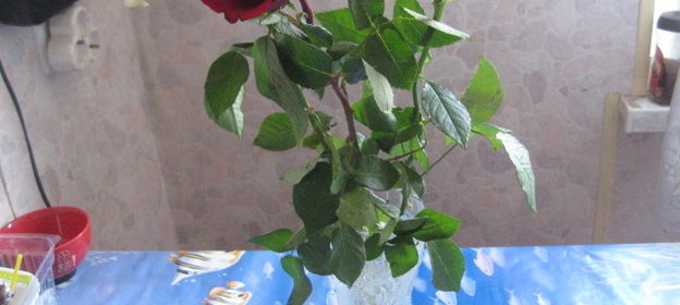 Хлеб пшеничный для margaleta.(рецепт для ХП)