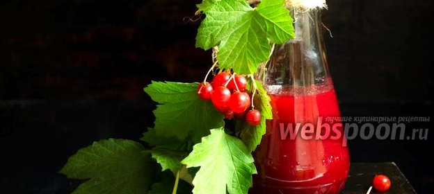 Калиновый соус к овощному штруделю