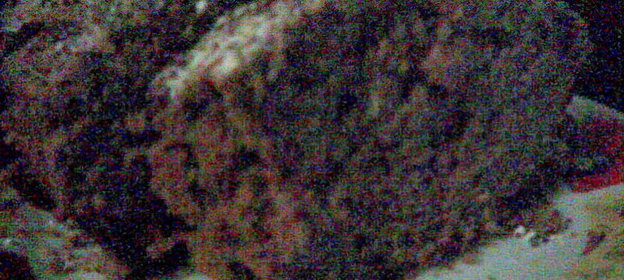 Кекс с кислой капустой (эксперимент с рецептом из журнала)