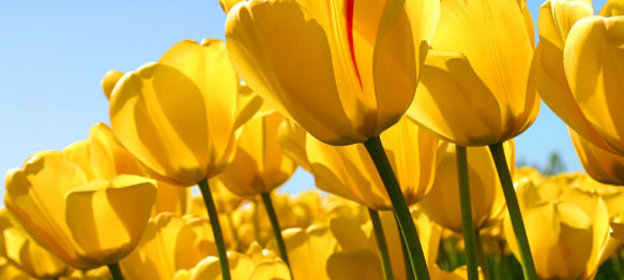 Кекс по-английски