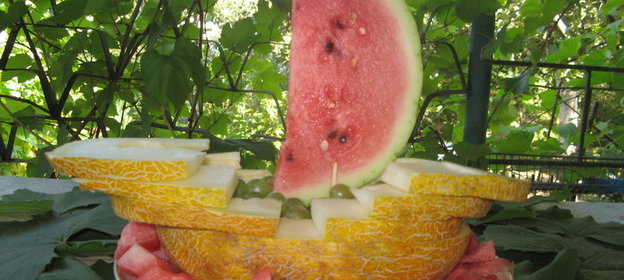 Парусникиз дыни и арбуза