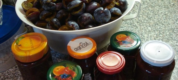 Сливовая паста НУТЕЛЛА