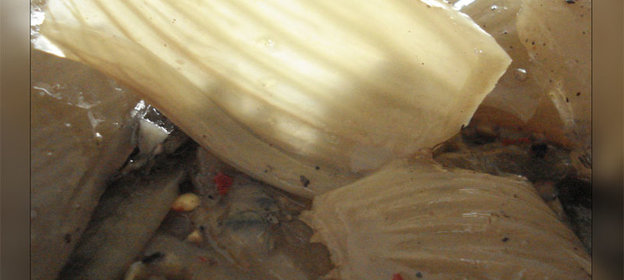 запеканка из пельменей