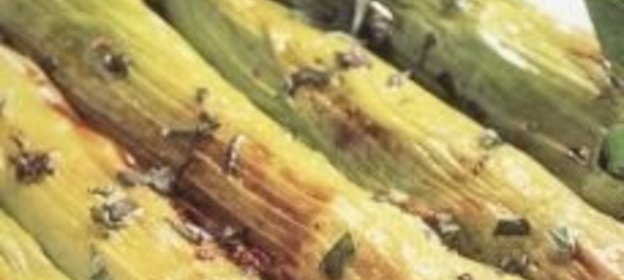 Спагетти из муки грубого помола с кабачками