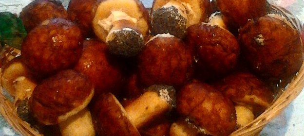 Печенье Лесная сказка