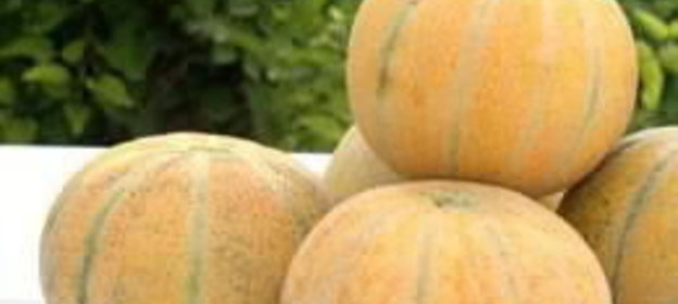 Соус белый с яйцами