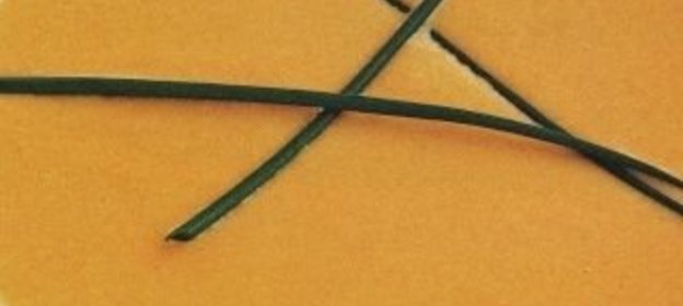 Салат из помидоров и квашеной капусты