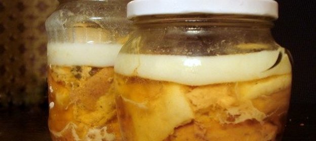 Тушенка из гуся