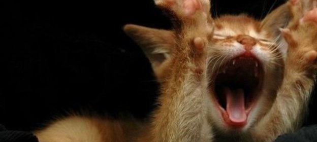 Запеканка из свежей капусты с мясом