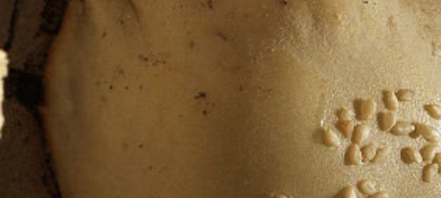 Голубцы с крилем