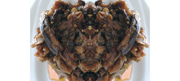 печенье хризантемы