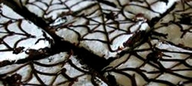 Печенье Паутинка