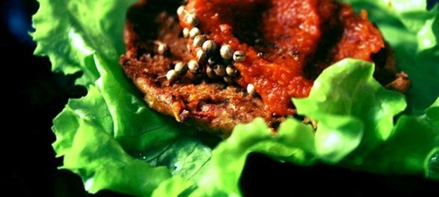 Паста из фасоли и перца (Beans Pepper Cream)