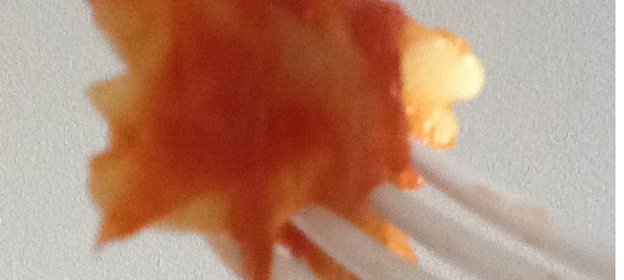 Макаронынаппалитано