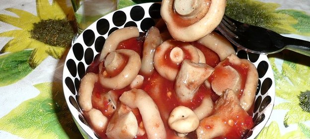 Грузди, соленые в томате