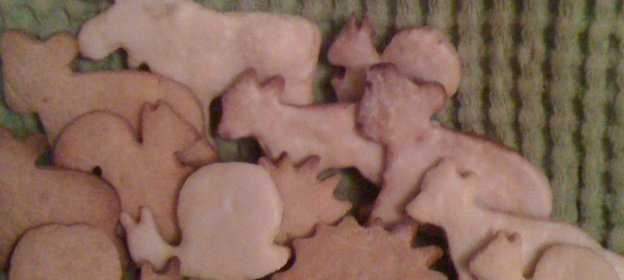 ЛЕСНАЯ БРАТВА Имбирно-пряничное печенье с апельсиновой ноткой