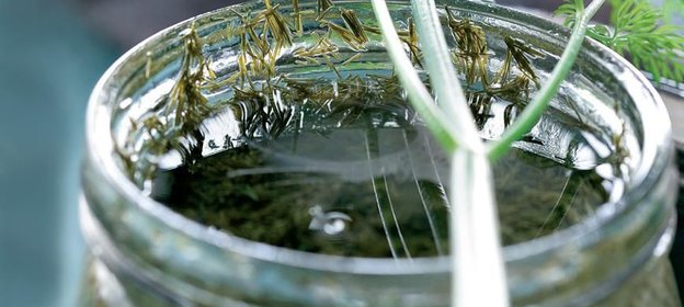 Приправа из укропа