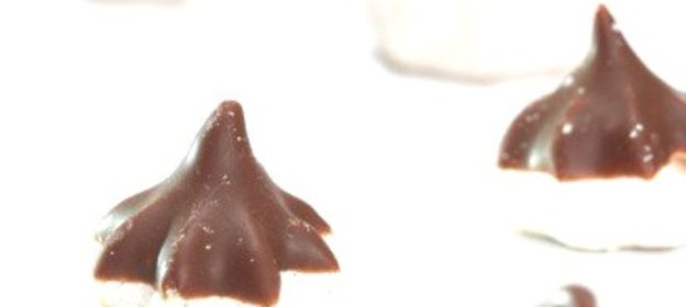 Ванильные, шоколадные и кофейные меренги в шоколадной глазури