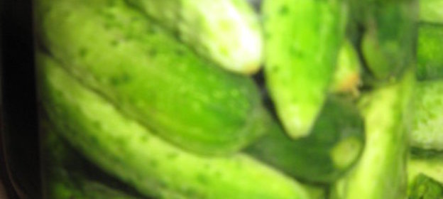 Огурчики соленые с камышом Бабушкины