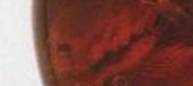 Золотое американское печенье