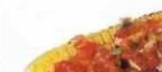 Майонез в домашних условиях