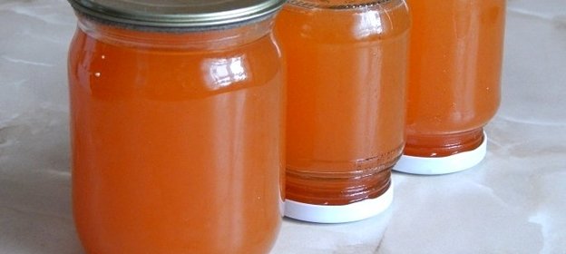 Сироп из плодов шиповника