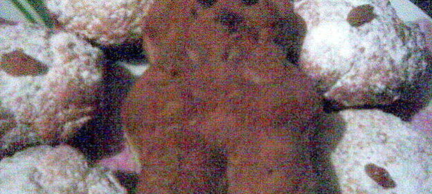 Печенье и маффины на рассоле (постные и бюджетные)