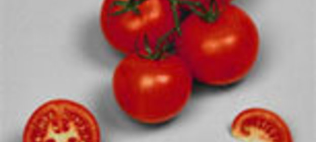 Томатный соус с имбирем