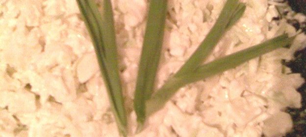 Салат Белый кролик