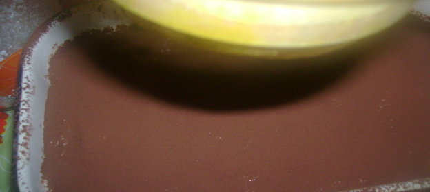 Мой тирамису