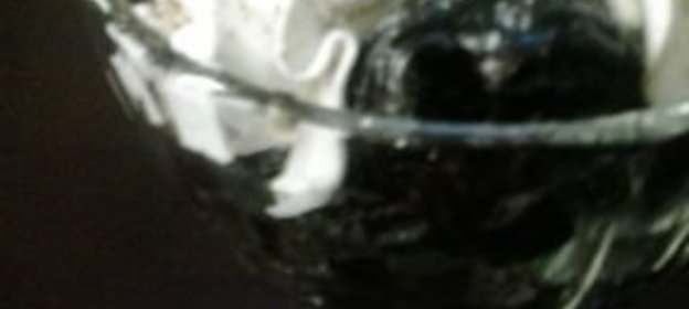 Приправа из кинзы