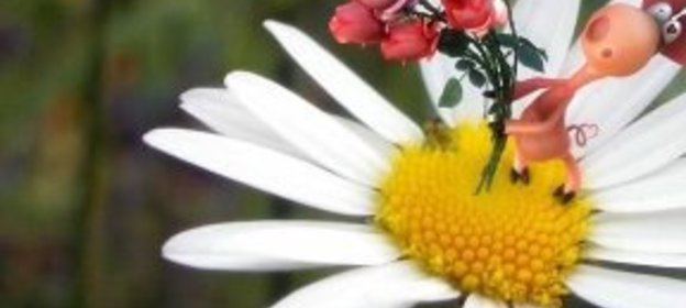 Оладьи с сыром по-английски