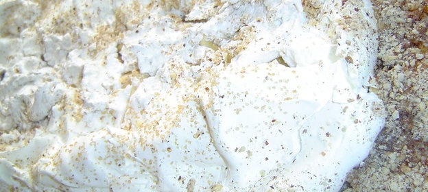 Яблочный торт под шапкой безе