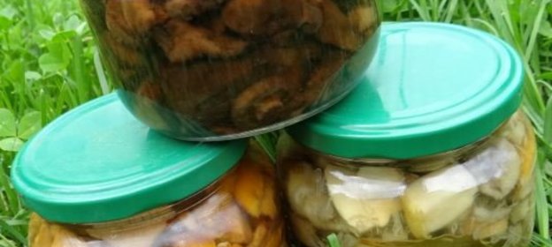 Барак-чучвара (Пельмени)